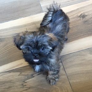 Meet your Posher, Mike